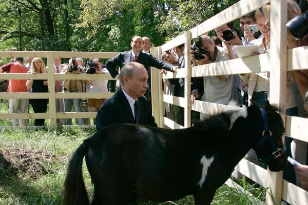Тигрови, коњи и пси: Шта све на поклон добија Владимир Путин - Sputnik Србија