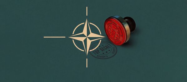 НАТО, строго пов - илустрација НАТО, строго пов - илустрација - Sputnik Србија