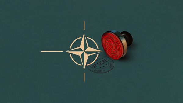 NATO, strogo pov - ilustracija - Sputnik Srbija