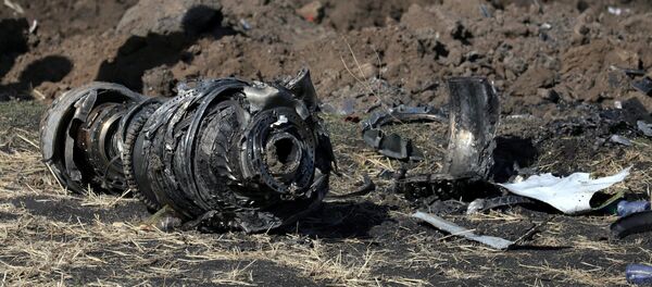 Delovi motora aviona na mestu pada aviona na letu ET 30 kompanije Etiopijan erlajns jugoistočno od Adisa Abebe Delovi motora aviona na mestu pada aviona na letu ET 30 kompanije Etiopijan erlajns jugoistočno od Adisa Abebe - Sputnik Srbija