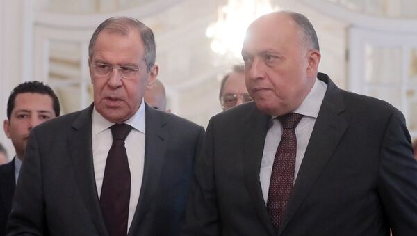 Шеф дипломатије Русије Сергеј Лавров и египатски министар Самех Шукри - Sputnik Србија