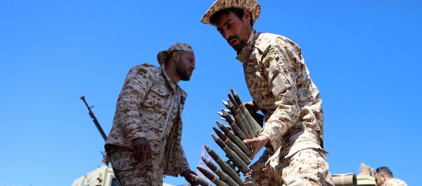 Присталице Владе Народног јединства Присталице Владе Народног јединства - Sputnik Србија