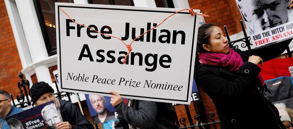 Protest ispred ambasade Ekvadora u Londonu gde je boravio osnivač Vikiliksa Džulejen Asanž, 5. aprila 2019. Protest ispred ambasade Ekvadora u Londonu gde je boravio osnivač Vikiliksa Džulejen Asanž, 5. aprila 2019. - Sputnik Srbija