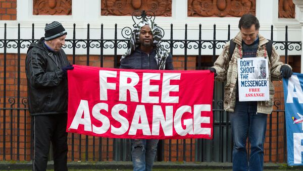 Protest ispred Kraljevskog suda u Londonu zbog hapšenja osnivača Vikiliksa Džulijana Asanža - Sputnik Srbija