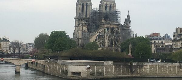 Нотр Дам у Паризу - Sputnik Србија