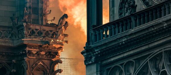 Нотр Дам Нотр Дам - Sputnik Србија