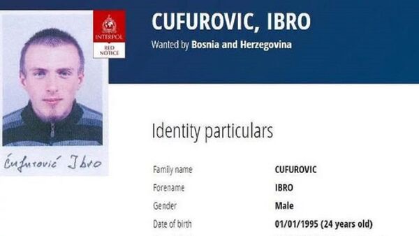 Ibro Ćufurović - Sputnik Srbija