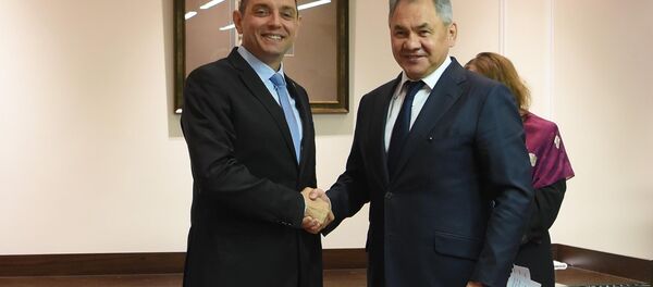 Aleksandar Vulin i Sergej Šojgu - Sputnik Srbija