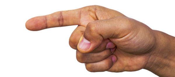 Чиповање - Sputnik Србија