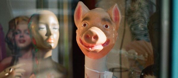 Свињска глава - Sputnik Србија