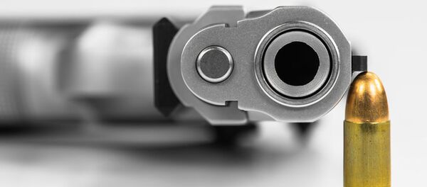 Metak i pištolj Metak i pištolj - Sputnik Srbija