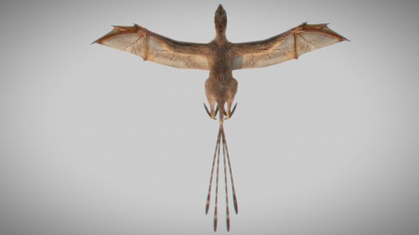 Реконструкција диносауруса са крилима из периода Јуре Ambopteryx longibrachium кинеске Академије наука у Пекингу Реконструкција диносауруса са крилима из периода Јуре Ambopteryx longibrachium кинеске Академије наука у Пекингу - Sputnik Србија