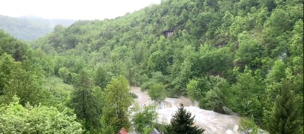 Драматичан снимак код Плитвица - Sputnik Србија