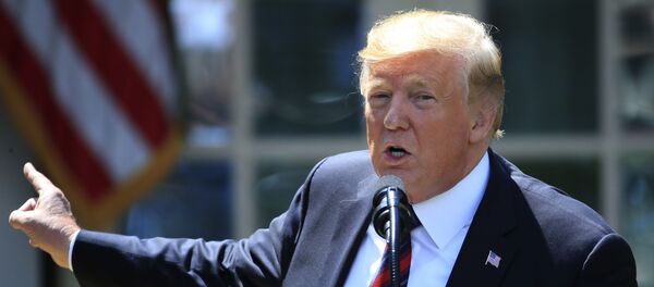 Председник САД Доналд Трамп Председник САД Доналд Трамп - Sputnik Србија