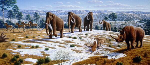 Runasti mamut Runasti mamut - Sputnik Srbija