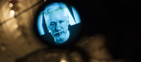 Osnivač Vikiliksa Džulijen Asanž - Sputnik Srbija