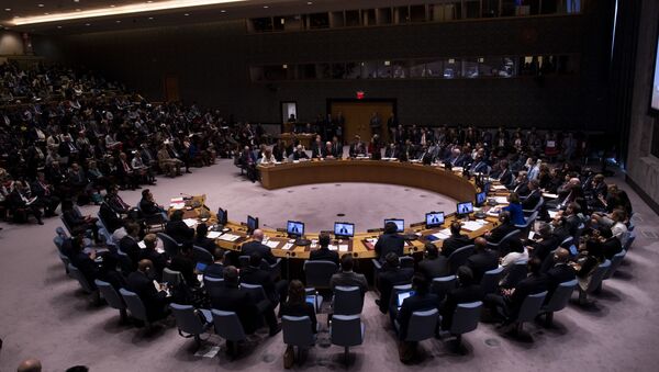 Заседање Савета безбедности Уједињених нација у Њујорку - Sputnik Србија