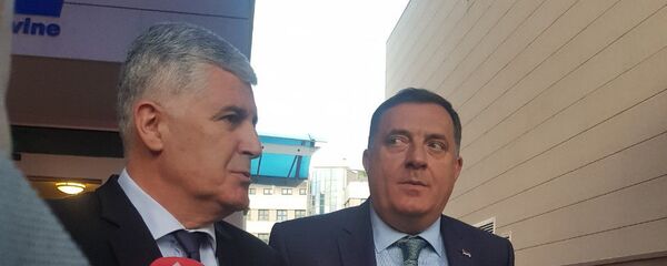 Milorad Dodik i Dragan Čović - Sputnik Srbija