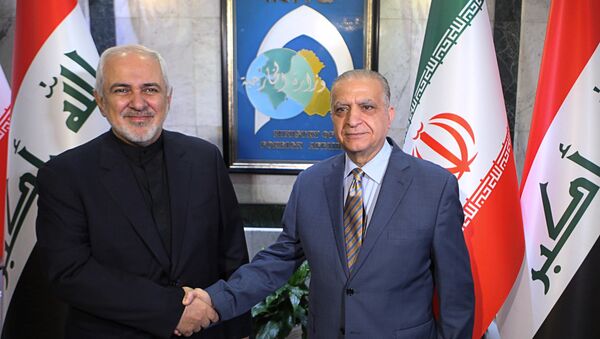 Iranski ministar spoljnih poslova Džavad Zarif sa iračkim kolegom Muhamedom Alhakimom - Sputnik Srbija
