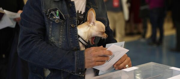Izbori za Evropski parlament - Sputnik Srbija