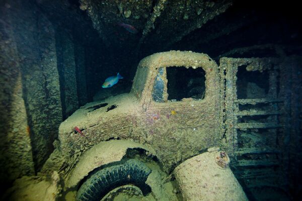 Терет транспортног брода „Тистлегорм“, потопљеног 1941. године спада међу најзанимљивије подводне артефакте у Суецком заливу. - Sputnik Србија