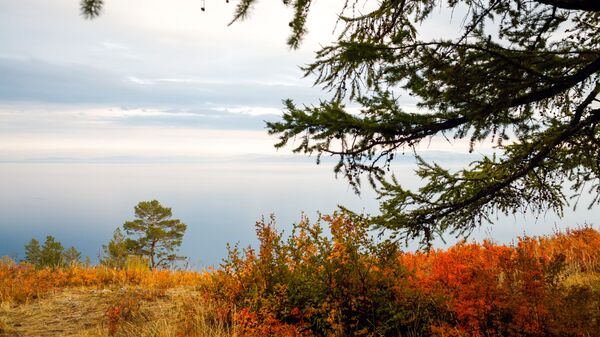 Pogled na jezero Bajkal  - Sputnik Srbija