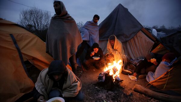 Migranti u kampu u Velikoj Kladuši, Bosna i Hercegovina. - Sputnik Srbija
