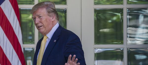 Амерички председник Доналд Трамп - Sputnik Србија