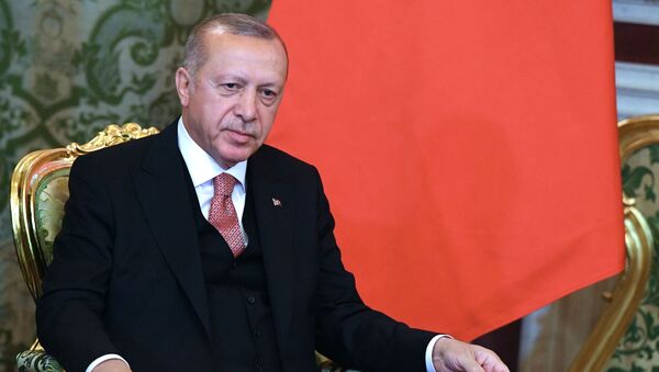 Predsednik Turske Redžep Tajip Erdogan - Sputnik Srbija