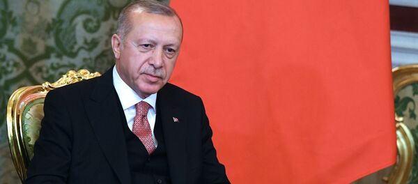 Predsednik Turske Redžep Tajip Erdogan - Sputnik Srbija