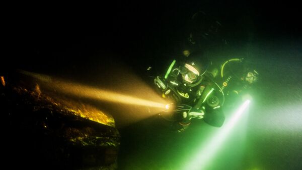 Ronjenje - Sputnik Srbija