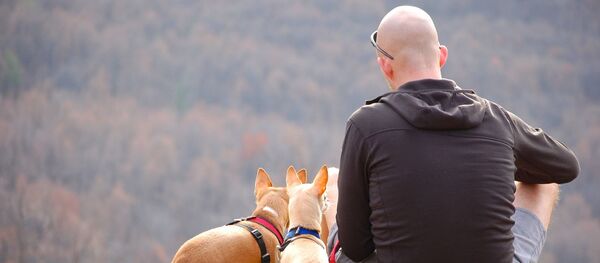 Ćelavost Ćelavost - Sputnik Srbija