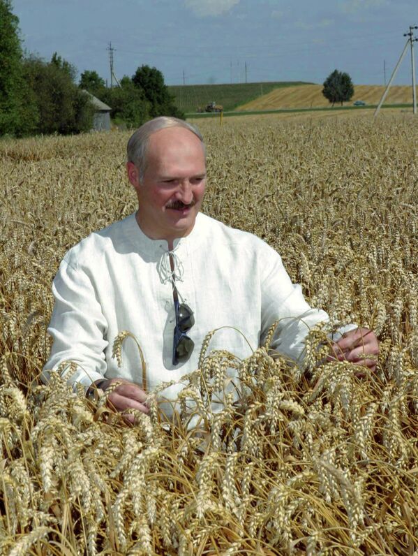 Александар Лукашенко обилази поља пшенице код Гродна 2005. године - Sputnik Србија