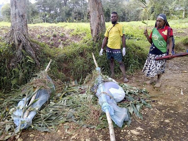 Pokolj koji je razotkrio mračni američki projekat duboko u džunglama Okeanije - Sputnik Srbija