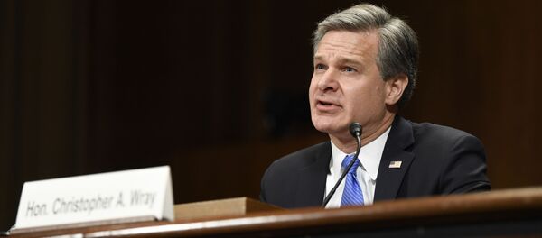Директор ФБИ Кристофер Реј  - Sputnik Србија