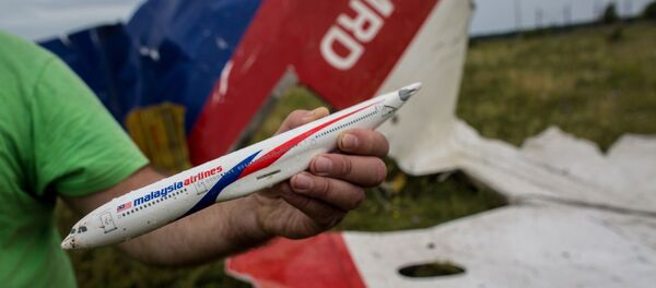 Čovek pokazuje model malezijskog aviona Boing 777 koji je oboren iznad Donbasa Čovek pokazuje model malezijskog aviona Boing 777 koji je oboren iznad Donbasa - Sputnik Srbija