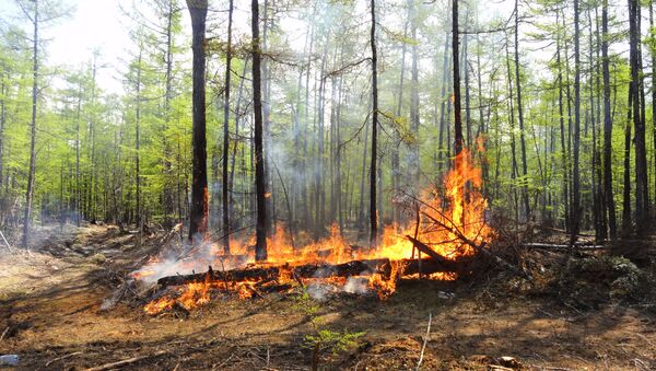 Шумски пожар у Јакутску - Sputnik Србија