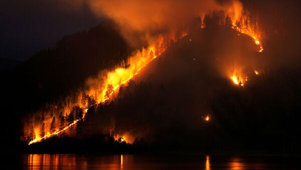 Požar u Krasnojarskom kraju - Sputnik Srbija