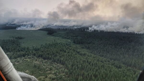 Дым над территорией лесных пожаров в Верхоянском районе республики Саха в Якутии - Sputnik Србија