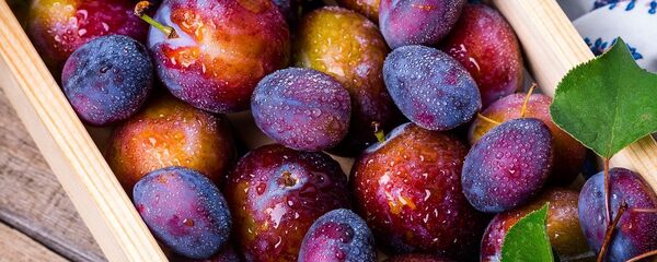 Srbija treća u svetu po proizvodnji šljiva - Sputnik Srbija