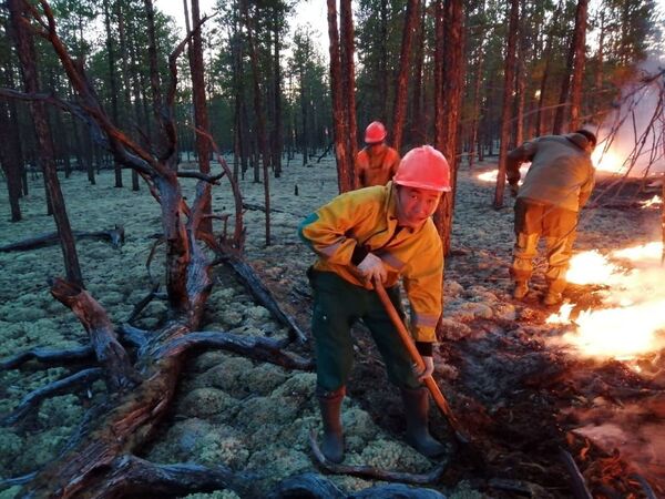 Како угасити пожар величине Белгије (фото, видео) Како угасити пожар величине Белгије (фото, видео) - Sputnik Србија
