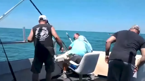 Ајкула се осветила рибару који је уловио (видео) - Sputnik Србија
