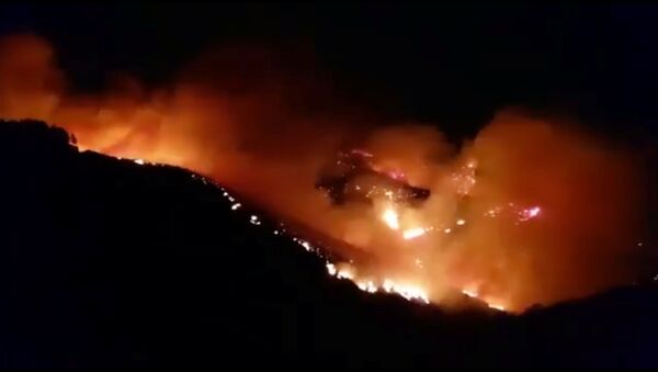 Велики пожар на острву Гран Канарија - Sputnik Србија