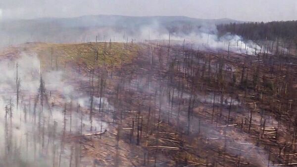 Шумски пожар у Иркутској области Русије - Sputnik Србија