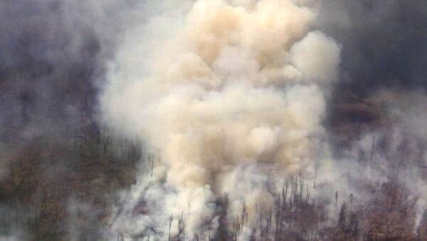 Gašenje požara u Irkutskoj oblasti Rusije - Sputnik Srbija