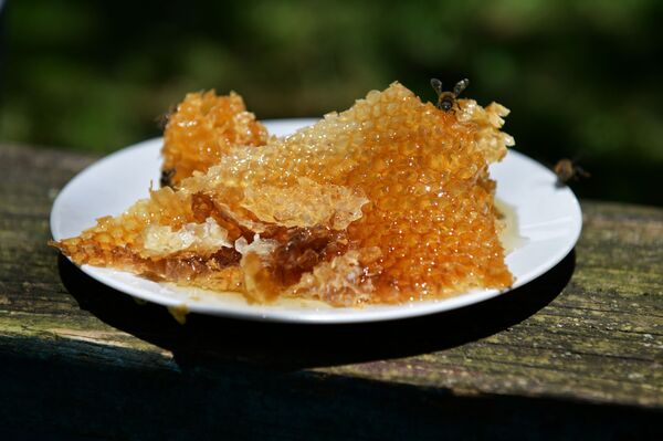 Без дозволе кретања старим пчеларима пчелињацима прети катастрофа - Sputnik Србија