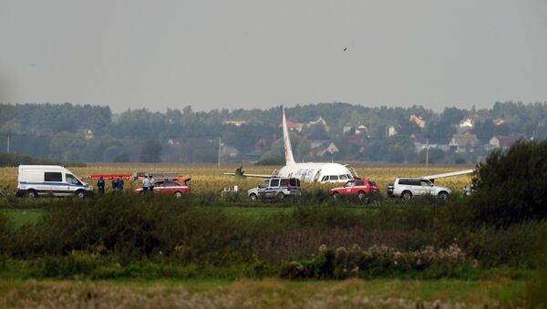Avion Erbas A-321 kompanije Ural ervejs nakon prinudnog sletanja u Podmoskovlju - Sputnik Srbija