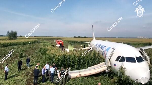 Pripadnici Istražnog komiteta Rusije pored aviona A-321 kompanije Ural erlajns koji je prinudno sleteo u Podmoskovlju - Sputnik Srbija