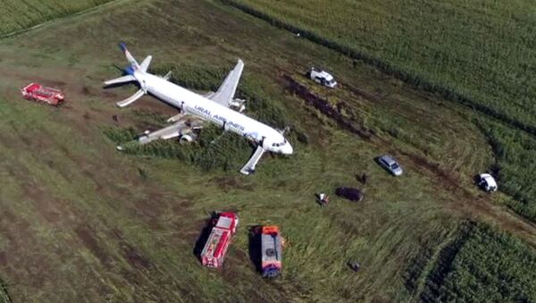 Avion A321 koji je prinudno sleteo na njivu u predgrađu Moskve - Sputnik Srbija