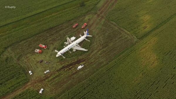 Авион који се срушио у кукурузе - Sputnik Србија